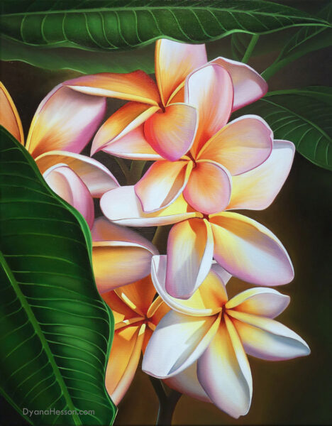 Hidden Treasure - Plumeria, Kohala Coast, Hawaii SOLD - Dyana Hesson