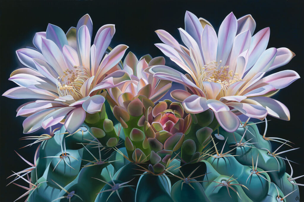 Dyana Hesson - Botanical Artist