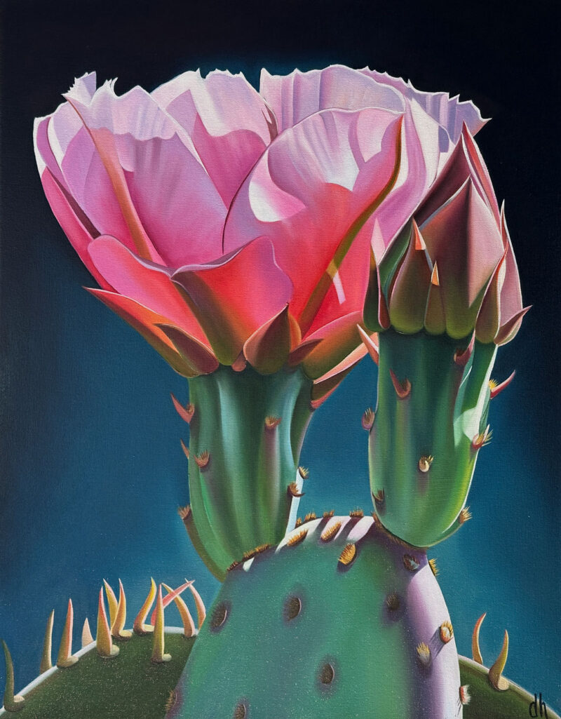 Arizona Birthday Candles - Beavertail Cactus Bloom and Bud, Lees Ferry, Arizona